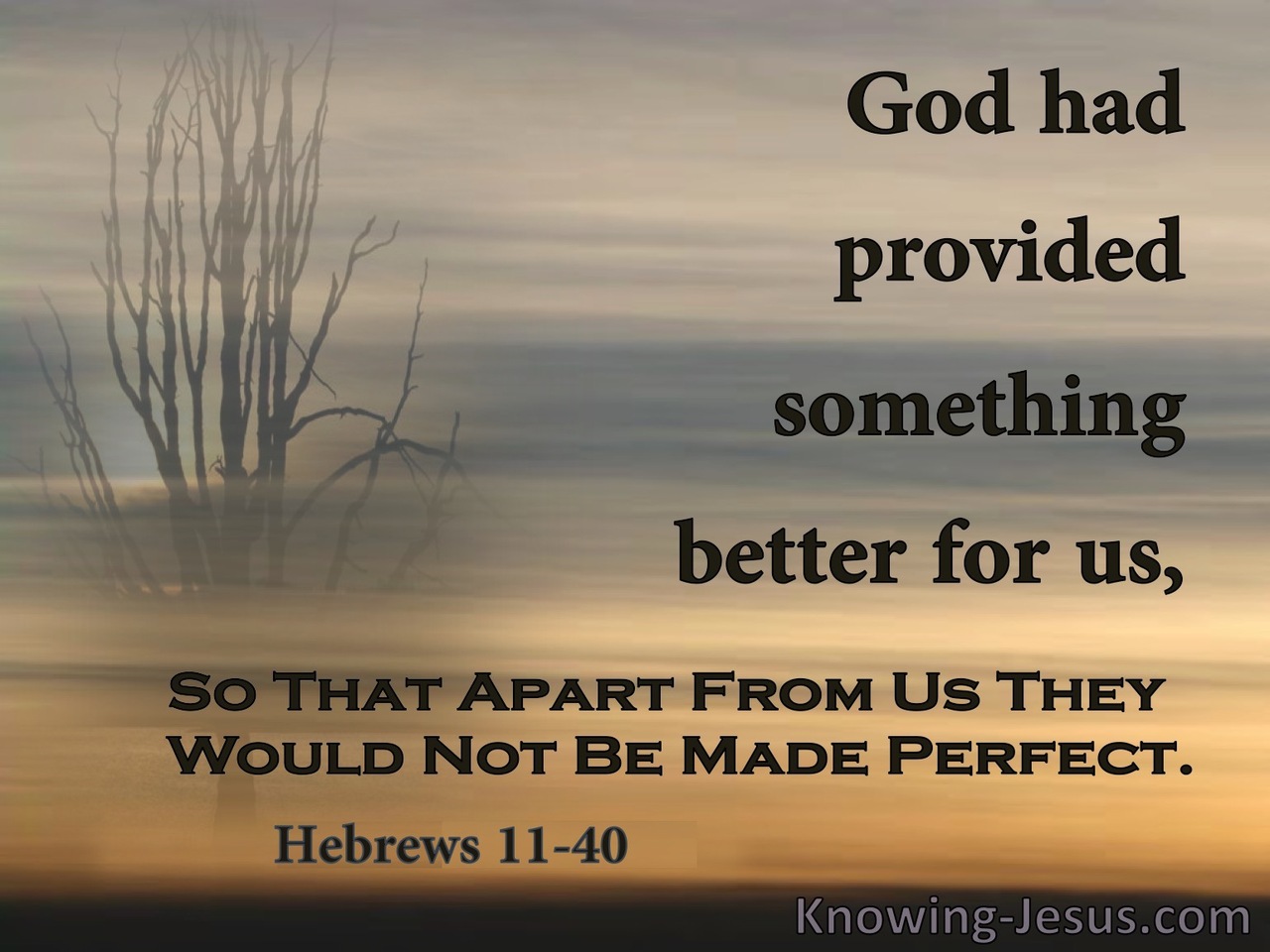 Hebrews 11:40 God Provided Something Better (brown)